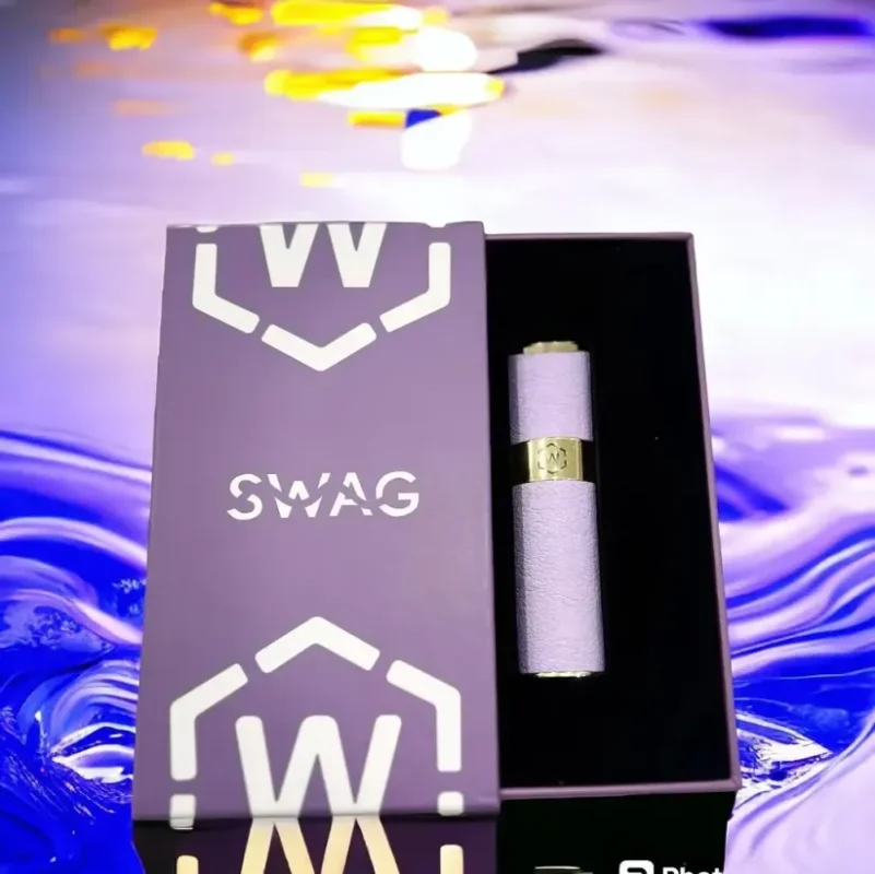 SWAG皮革主機推薦